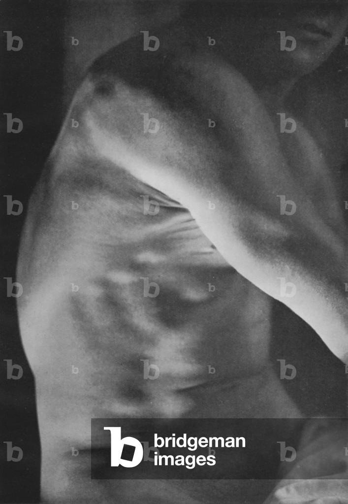 Illustration for The Male Body (b/w photo)