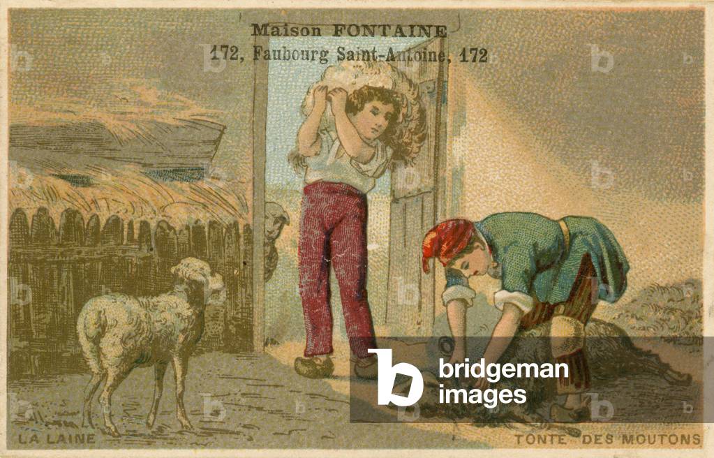 Maison Fontaine trade card, sheep shearing (chromolitho)