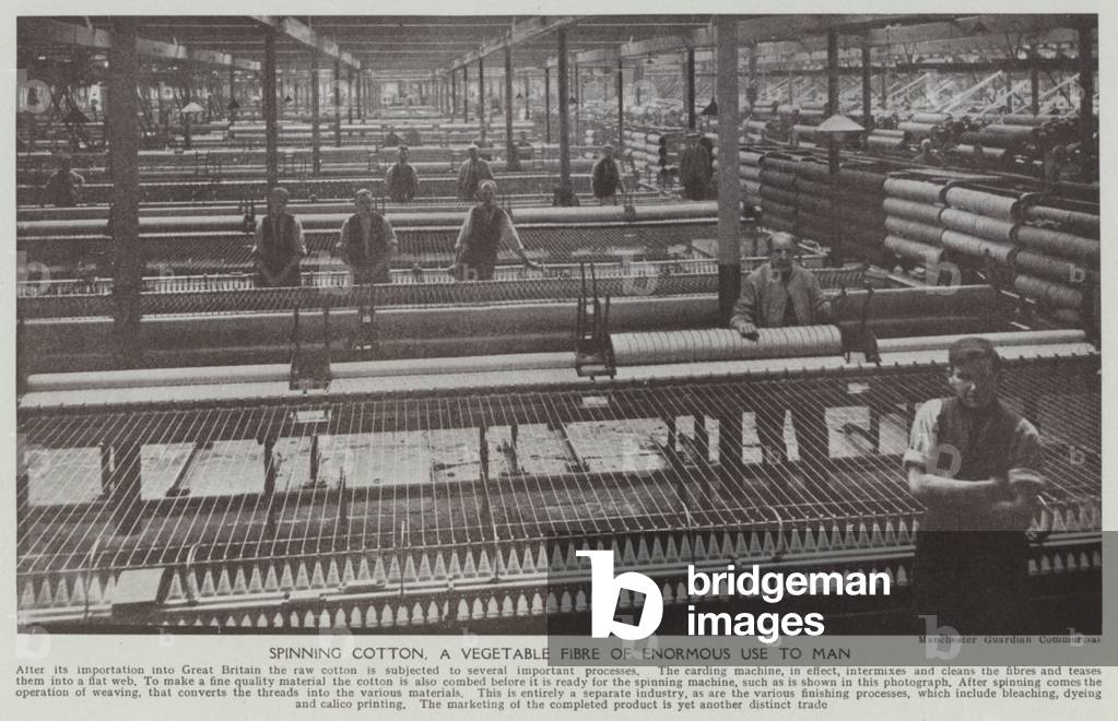 Spinning cotton, a vegetable fibre of enormous use to man (b/w photo)