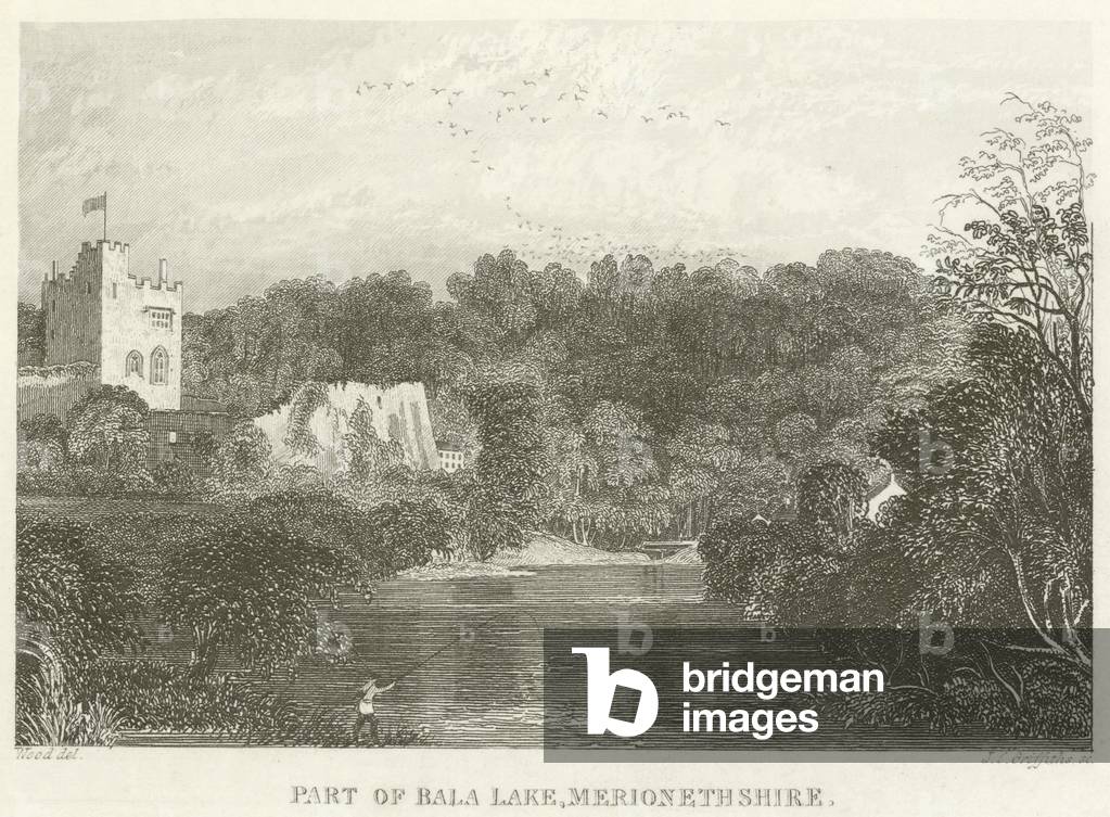 Part of Bala Lake, Merionethshire (engraving)