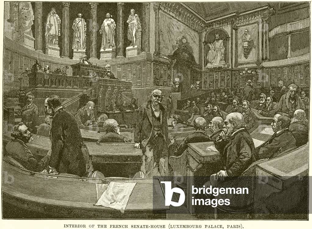 Interior of the French Senate-House (Luxembourg Palace, Paris) (engraving)