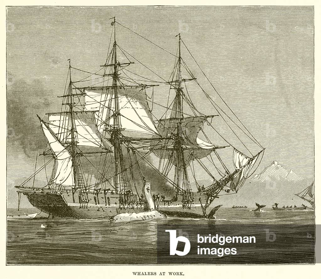 Whalers at Work (engraving)