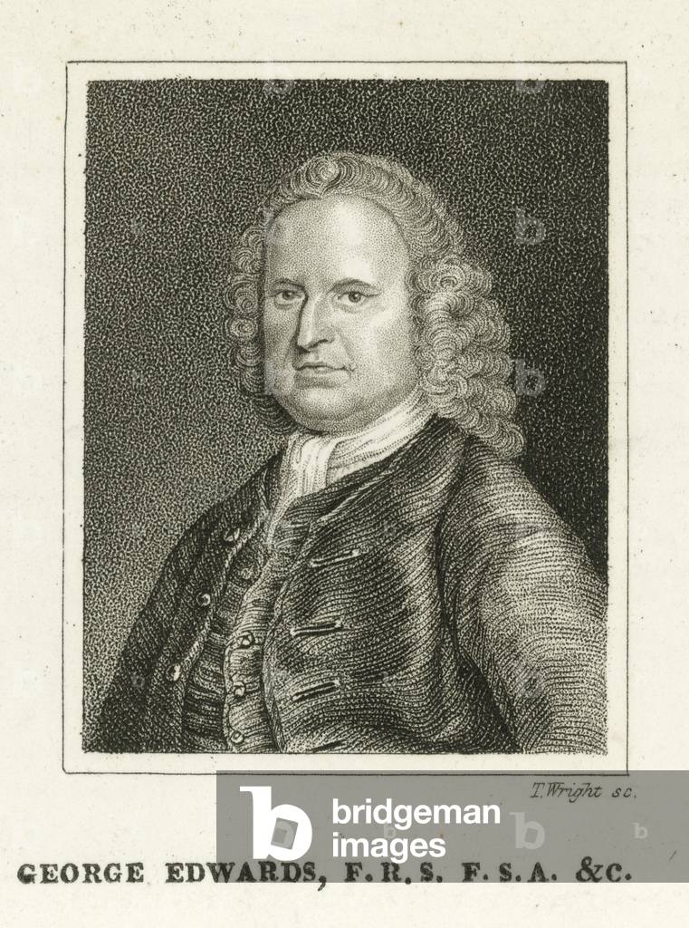 George Edwards (engraving)