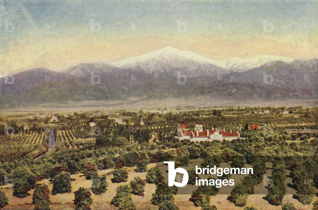 Among the orange groves near Riverside (colour photo)