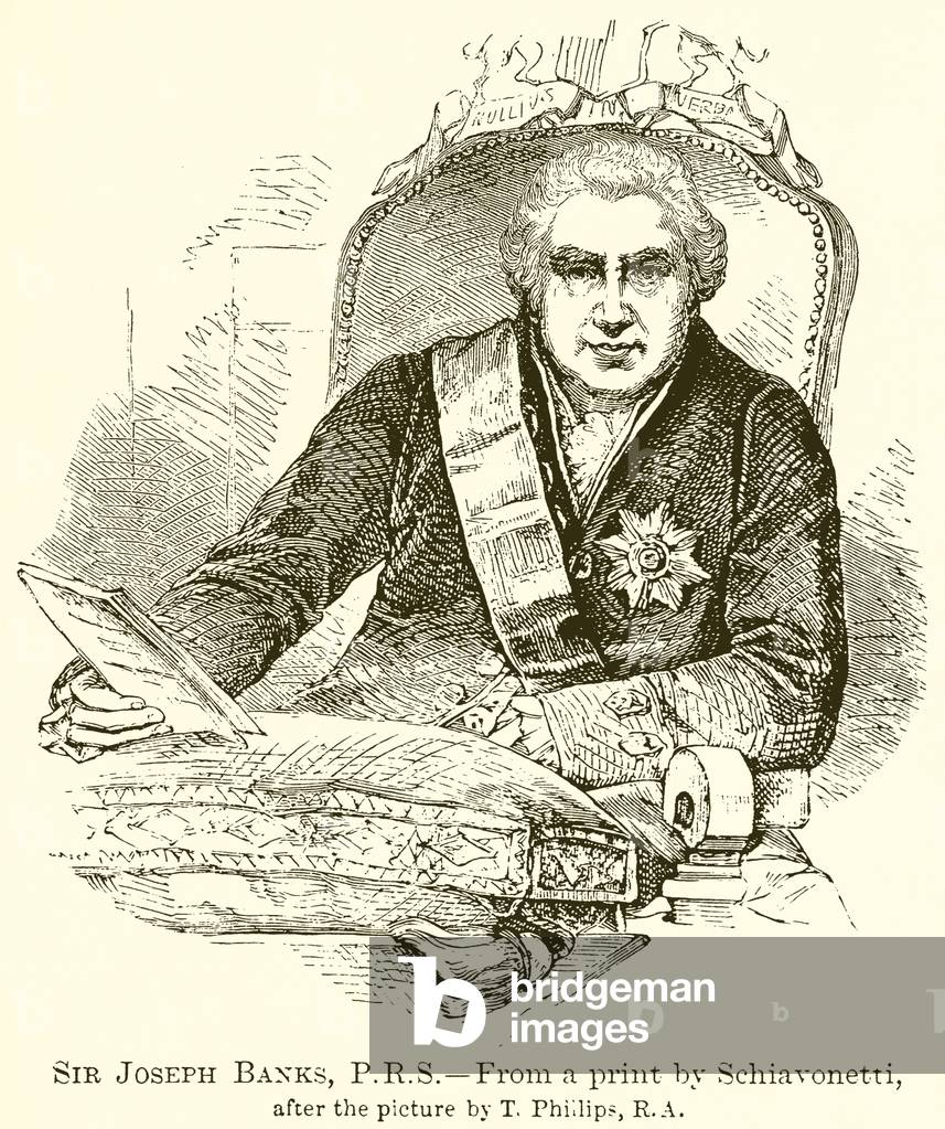 Sir Joseph Banks, P.R.S (engraving)