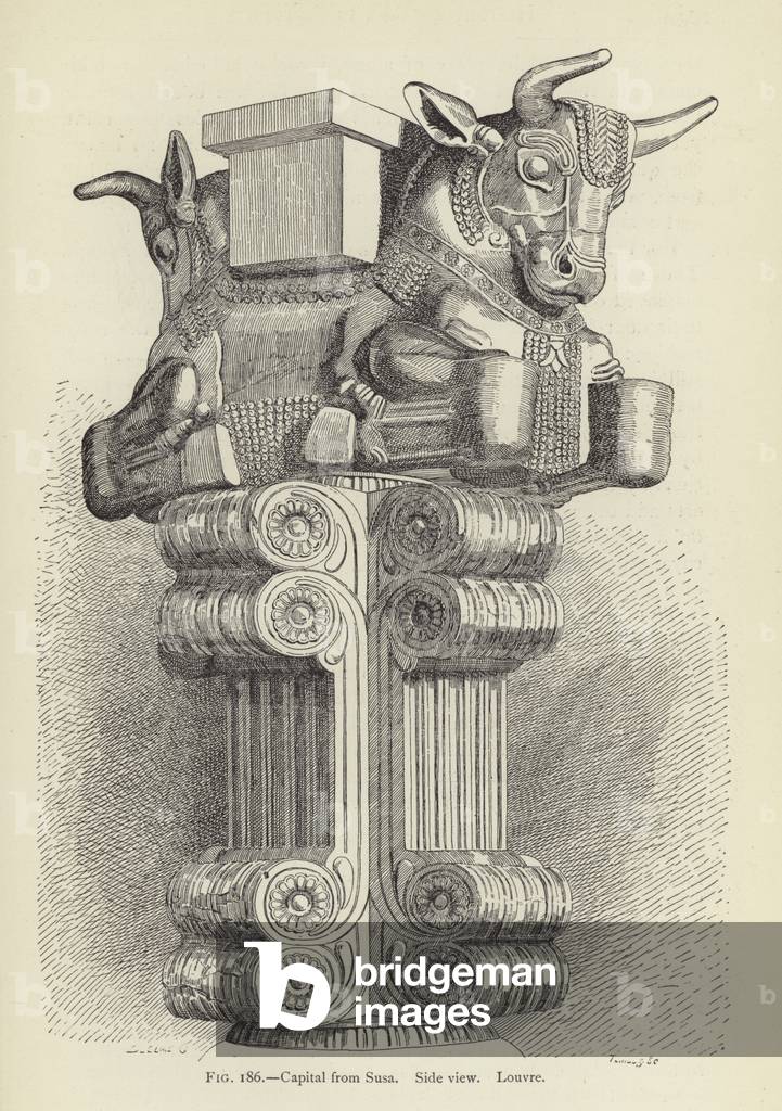Capital from Susa, Side view, Louvre (engraving)