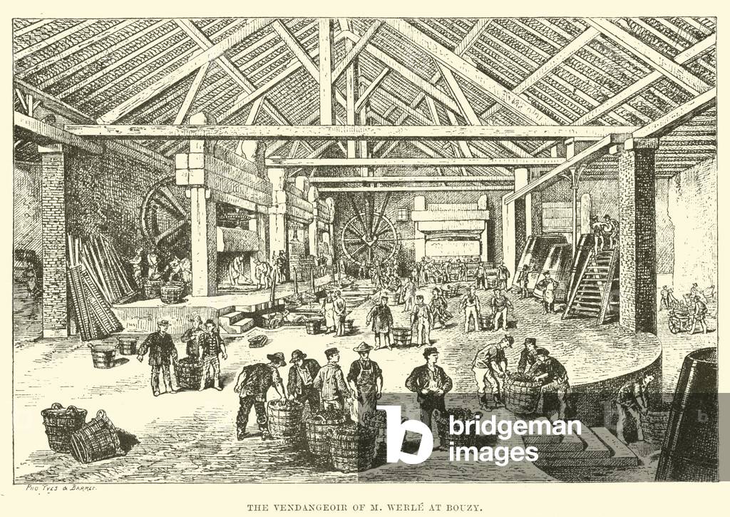 The Vendangeoir of M Werle at Bouzy (engraving)