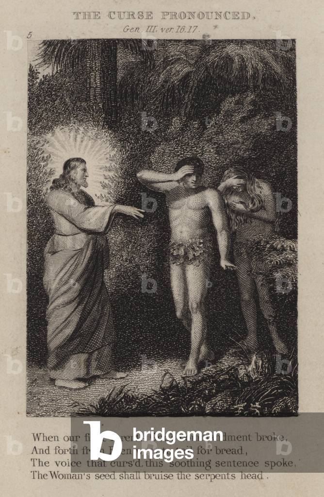 The curse pronounced, Genesis III, ver 16, 17 (engraving)