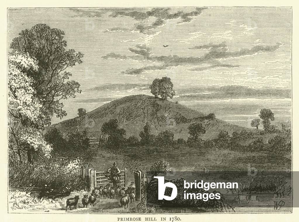 Primrose Hill in 1780 (engraving)