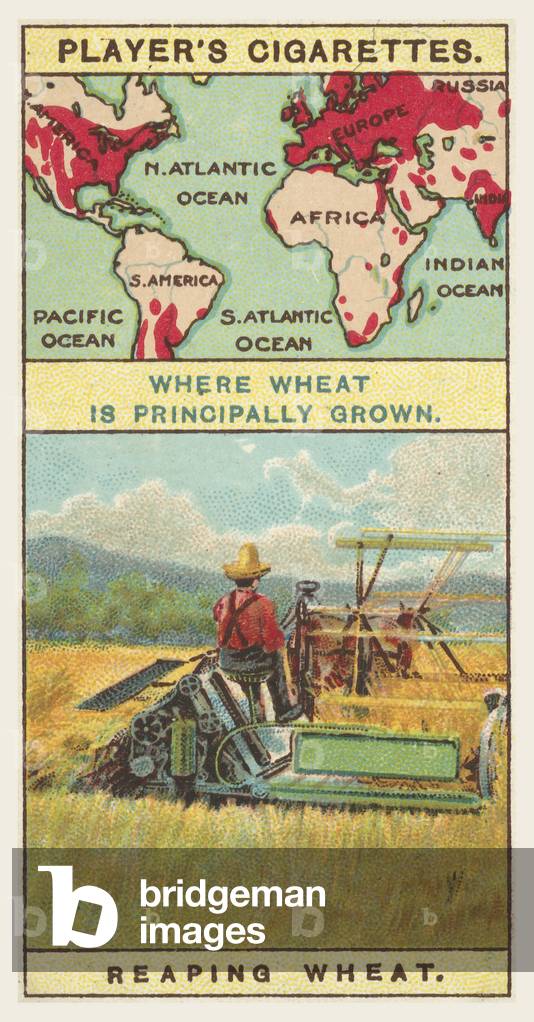 Wheat (chromolitho)