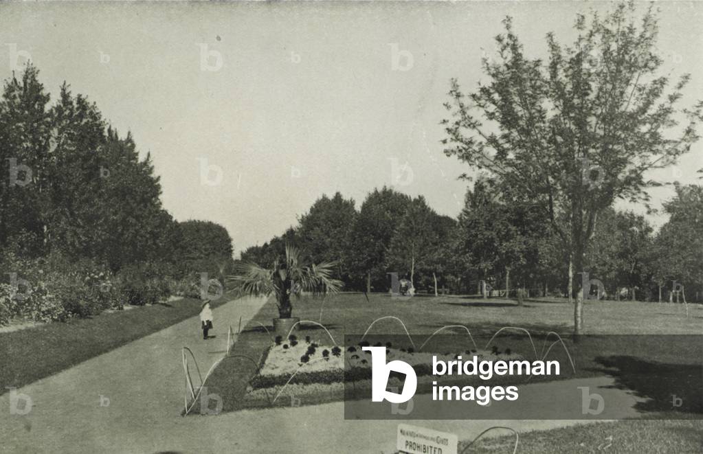 Toronto: Riverdale Park, overlooking the Don Valley (b/w photo)