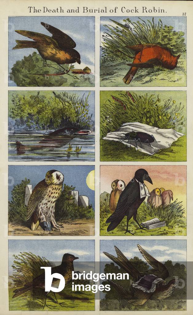 The Death And Burial Of Cock Robin (colour litho)