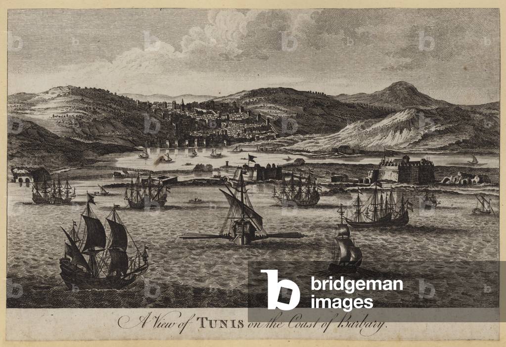 A View of Tunis on the Coast of Barbary (engraving)