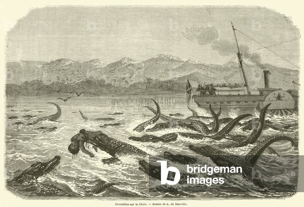 Crocodiles sur le Chire (engraving)