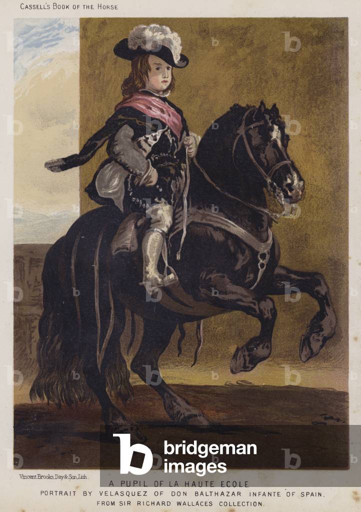 A Pupil of La Haute Ecole (colour litho)