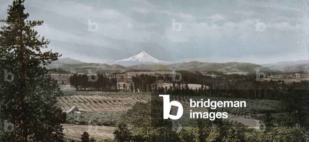 Oregon: A Portion of the Hood River Valley, Mount Hood in the Distance (photo)