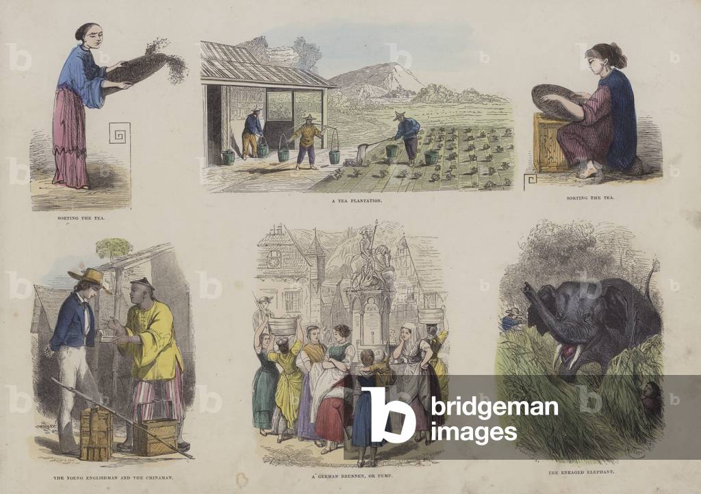 Page from the Attractive Picture Book (coloured engraving)