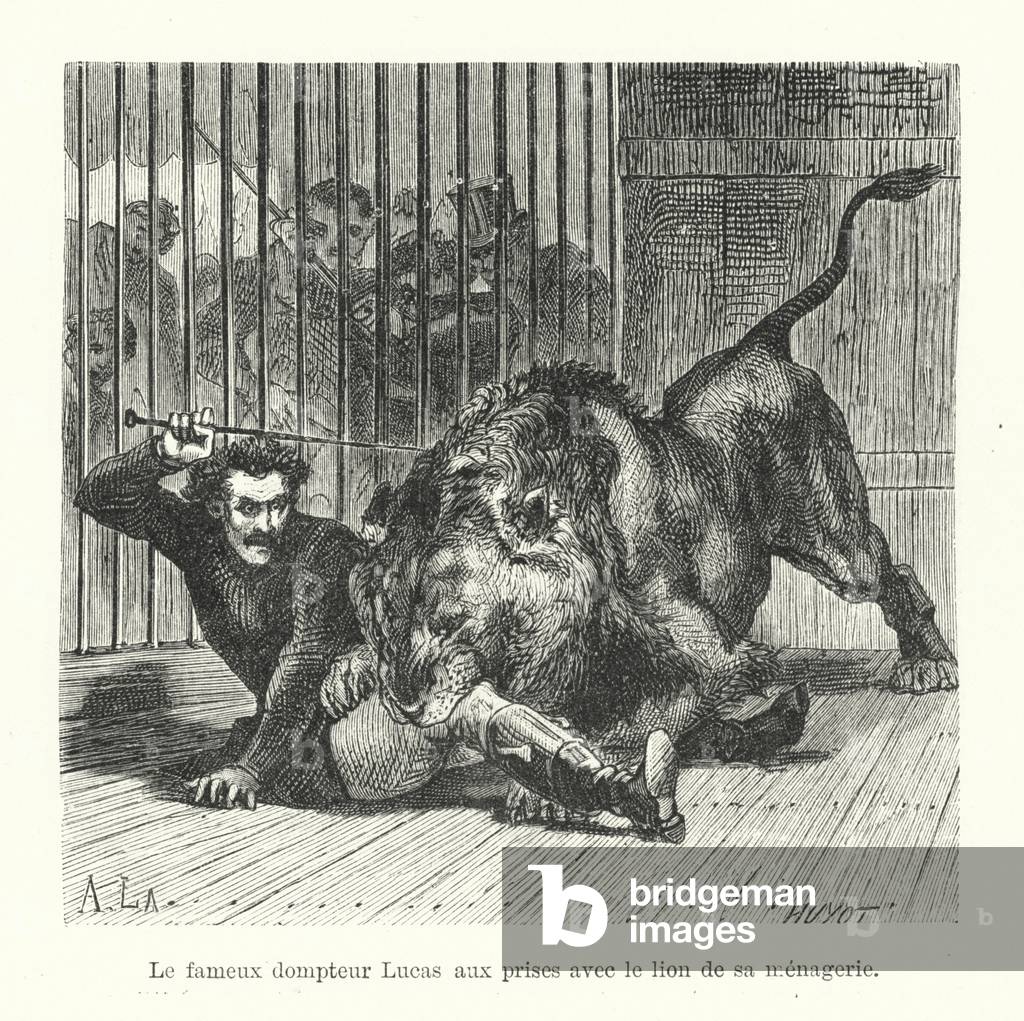 Le fameux dompteur Lucas aux prises avec le lion de sa menagerie (engraving)