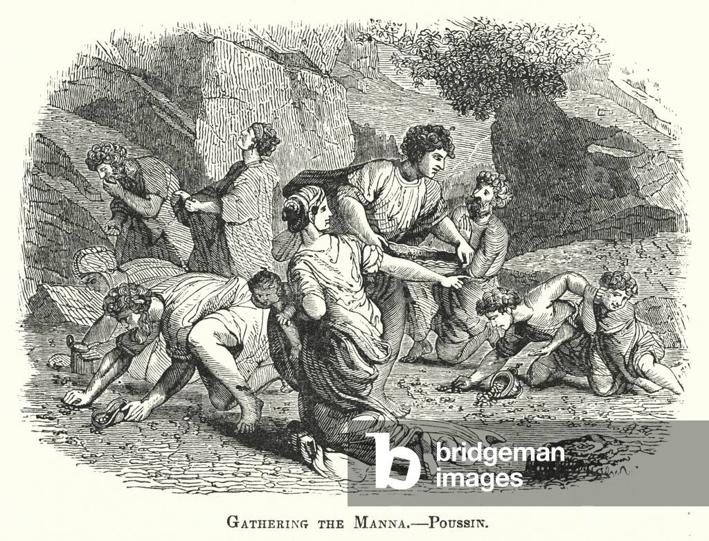 Gathering the Manna (engraving)