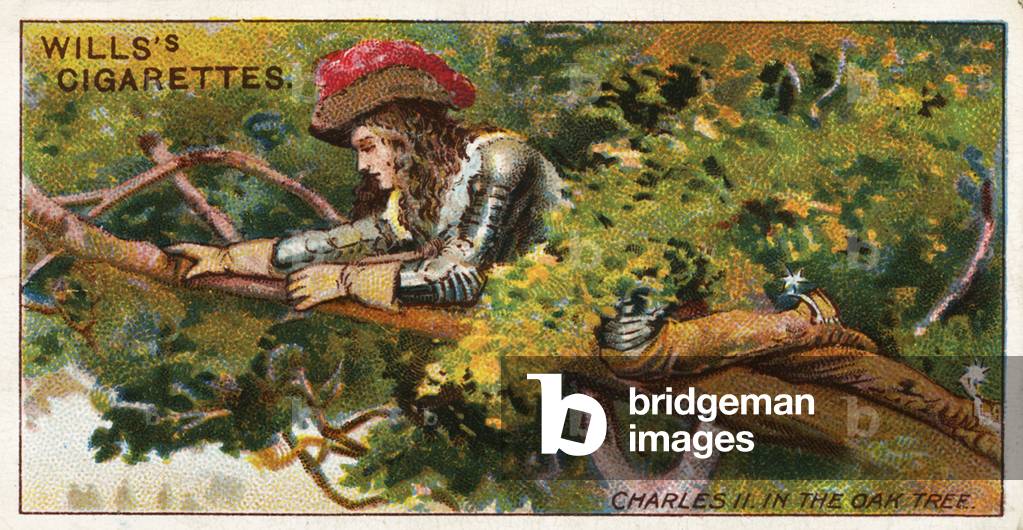 Charles II in the oak tree
