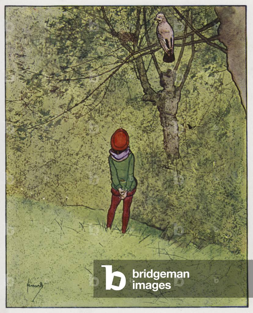 The jay (colour litho)