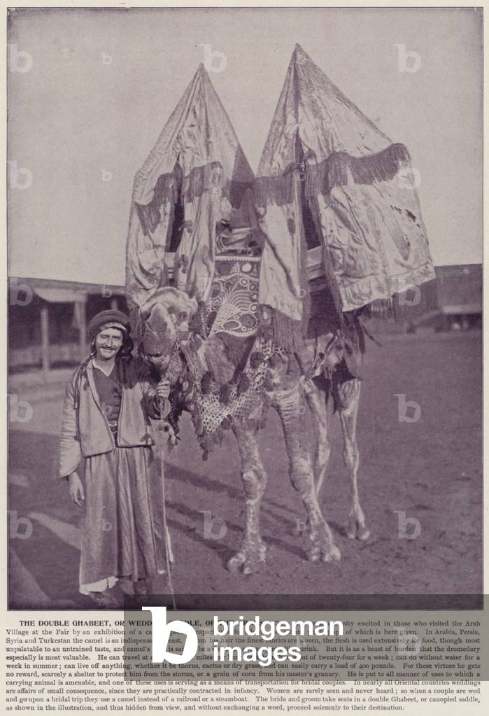 Chicago World's Fair, 1893: The Double Ghabeet, or Wedding Saddle, of the Arabs (b/w photo)