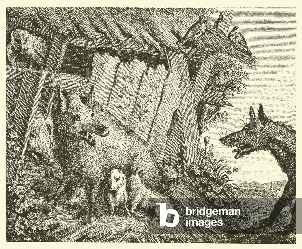 The sow and the wolf (engraving)