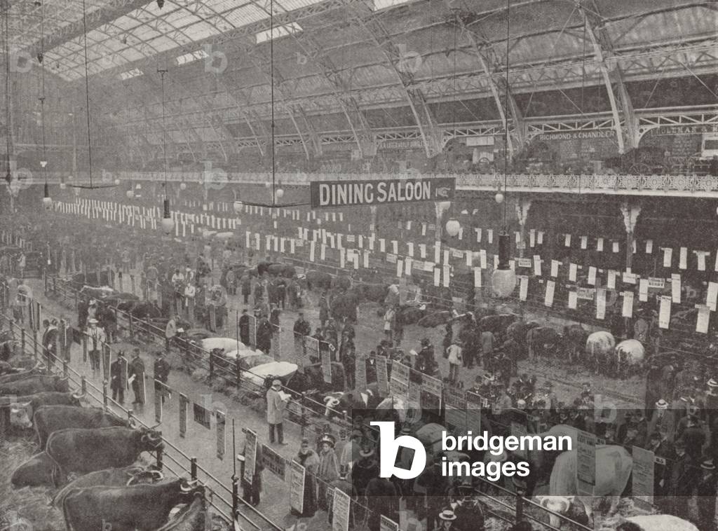 The Cattle Show, 1895 (b/w photo)