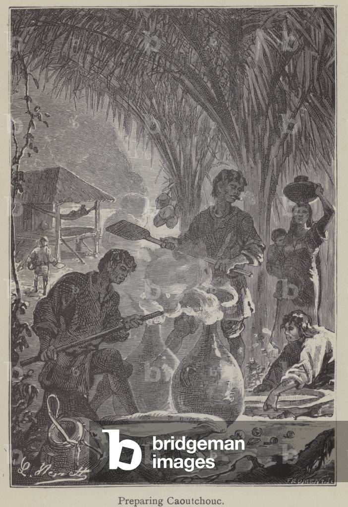 Illustration for Eight Hundred Leagues on the Amazon (litho)