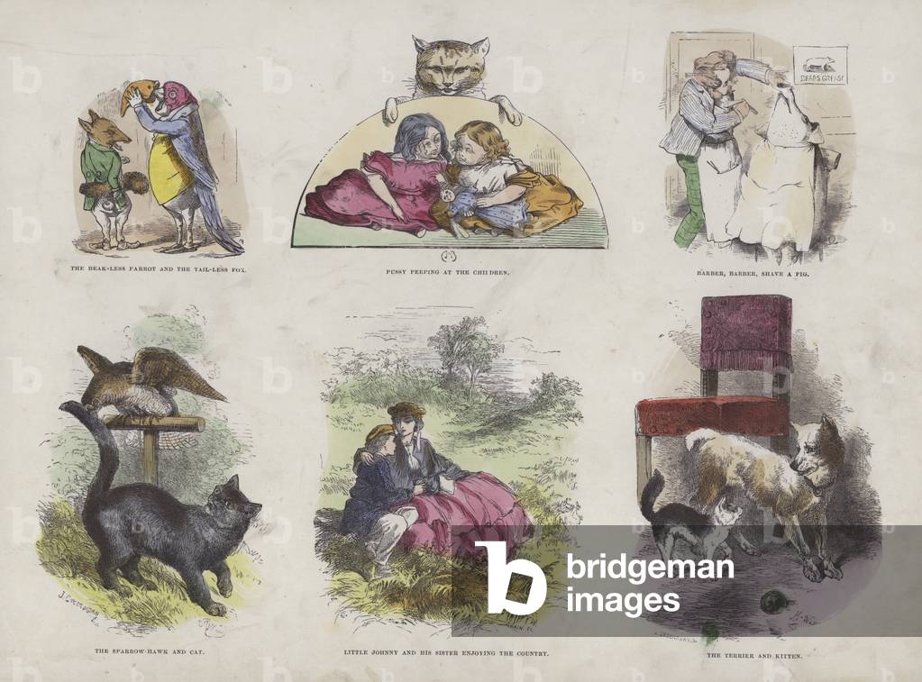 Page from the Attractive Picture Book (coloured engraving)