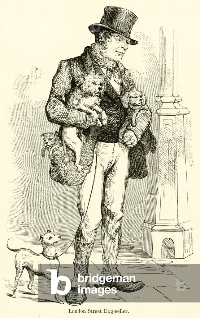 London Street Dog-seller (engraving)