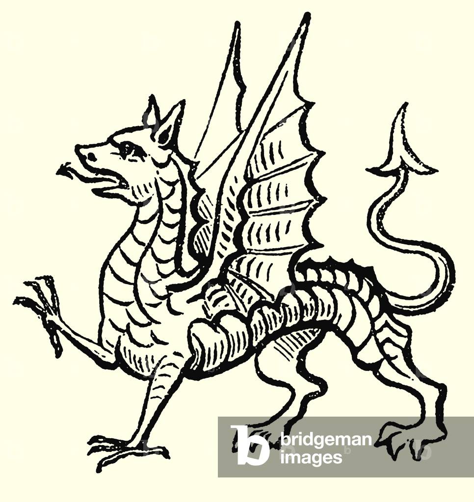 Heraldic Dragon (engraving)