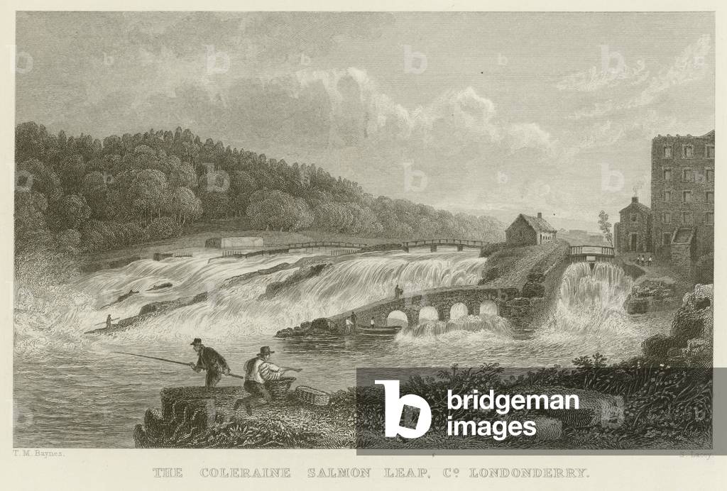 The Coleraine salmon leap (engraving)