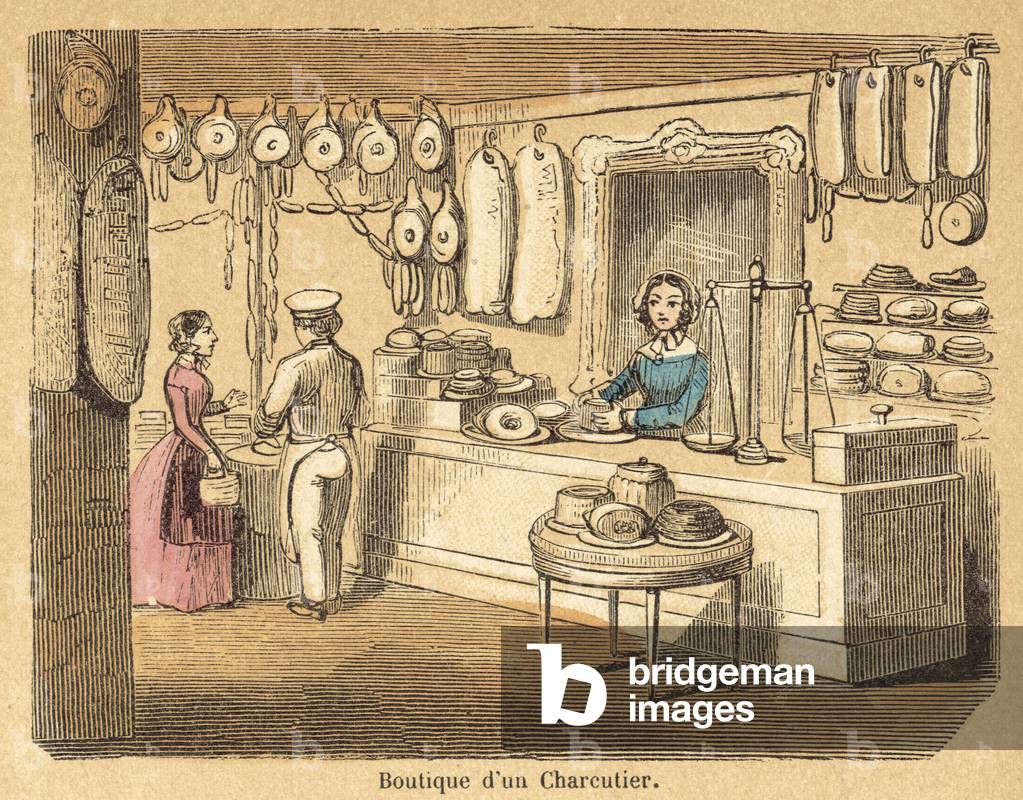 Pig (coloured engraving)