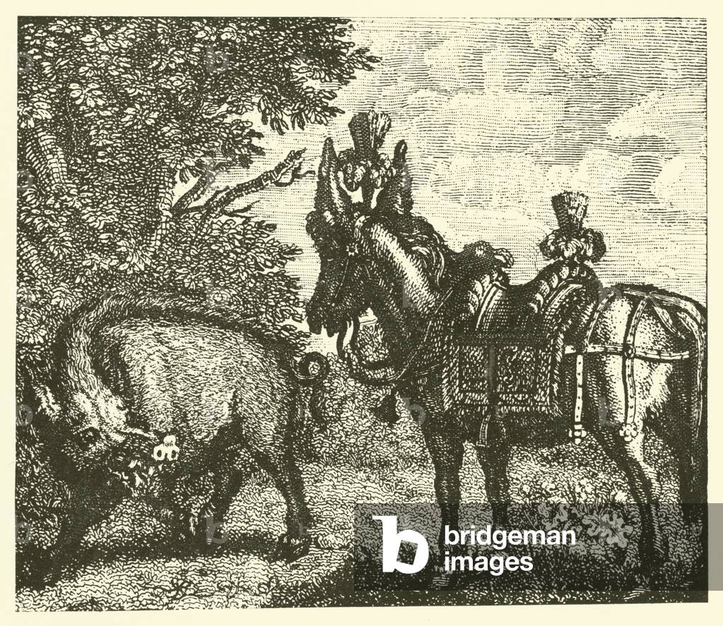 The boar and the ass (engraving)