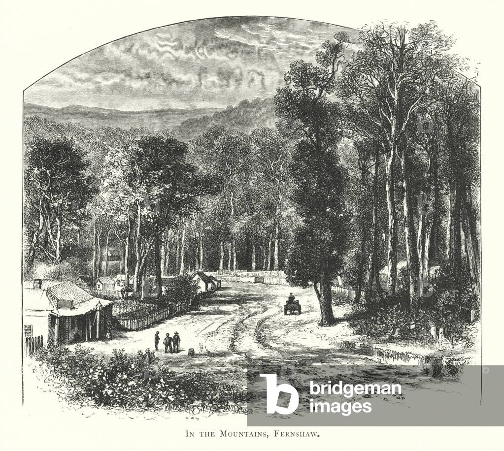 Australia: In the Mountains, Fernshaw (engraving)