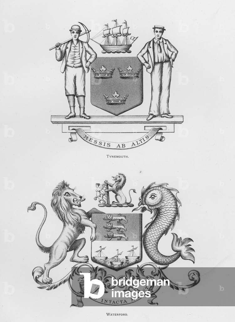 Public arms: Tynemouth; Waterford (engraving)