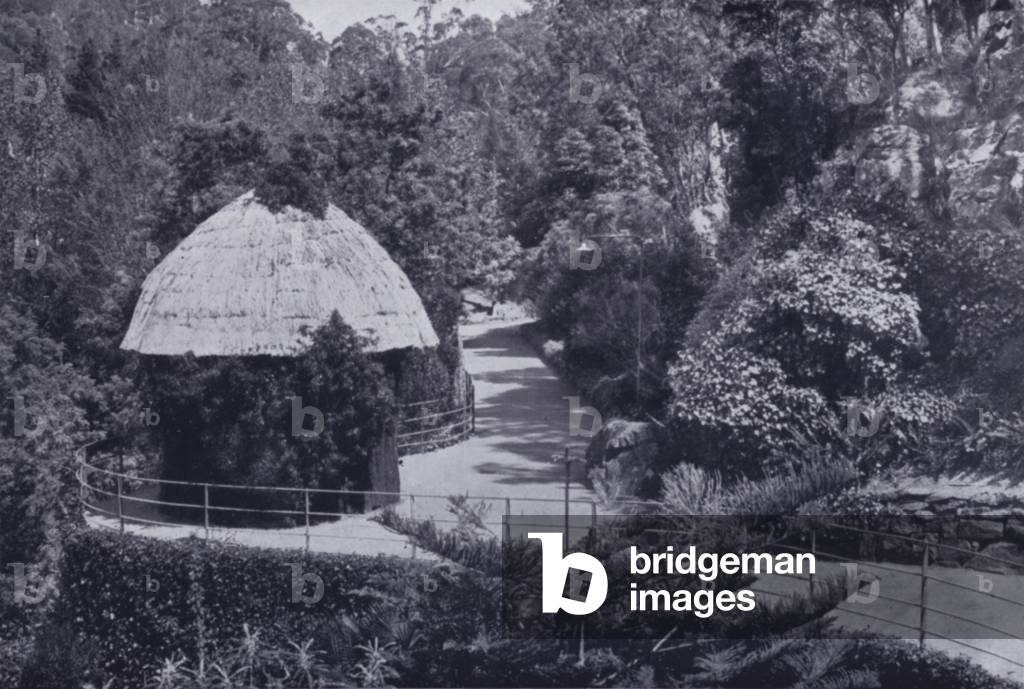 Launceston: The Crusoe Hut, Cataract Gorge (b/w photo)