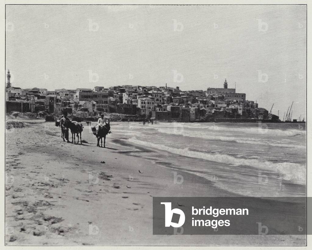 Jaffa, Panoramic view (b/w photo)