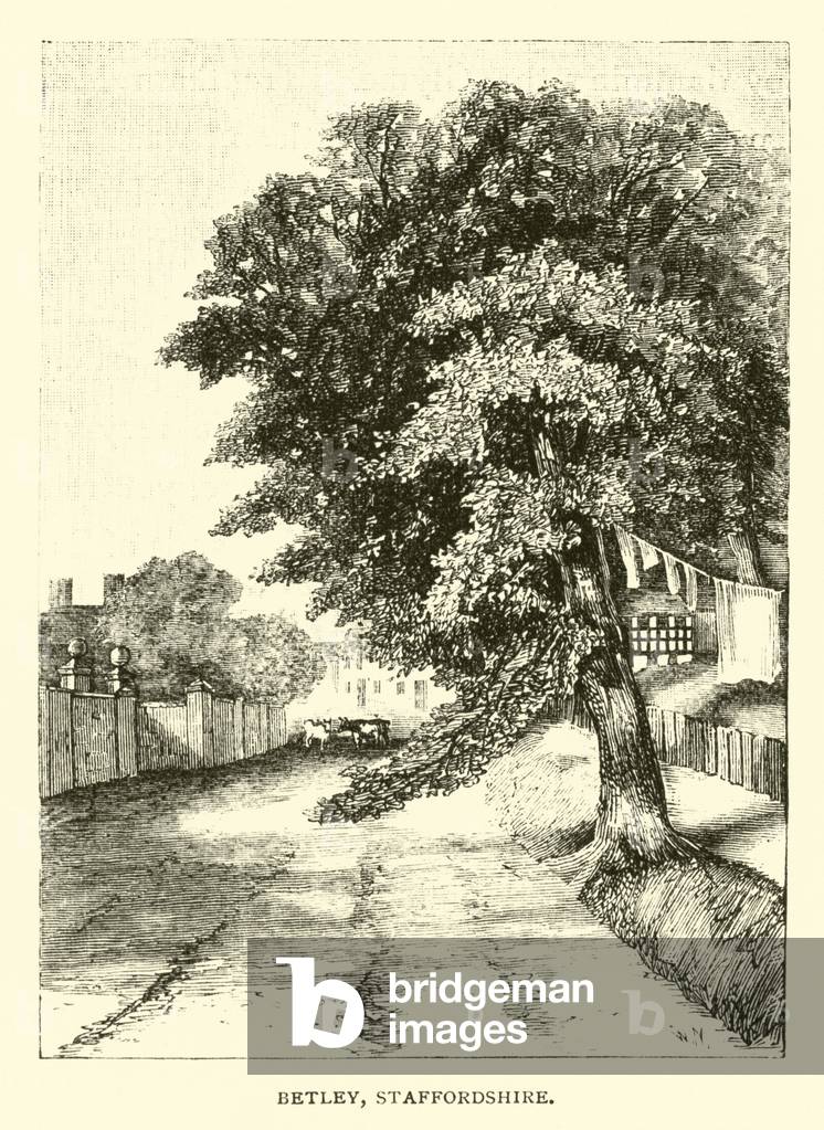 Betley, Staffordshire (engraving)