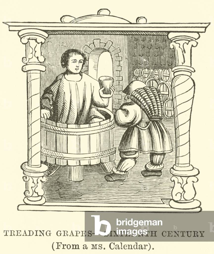 Treading Grapes, Sixteenth Century, (From a MS Calendar) (engraving)