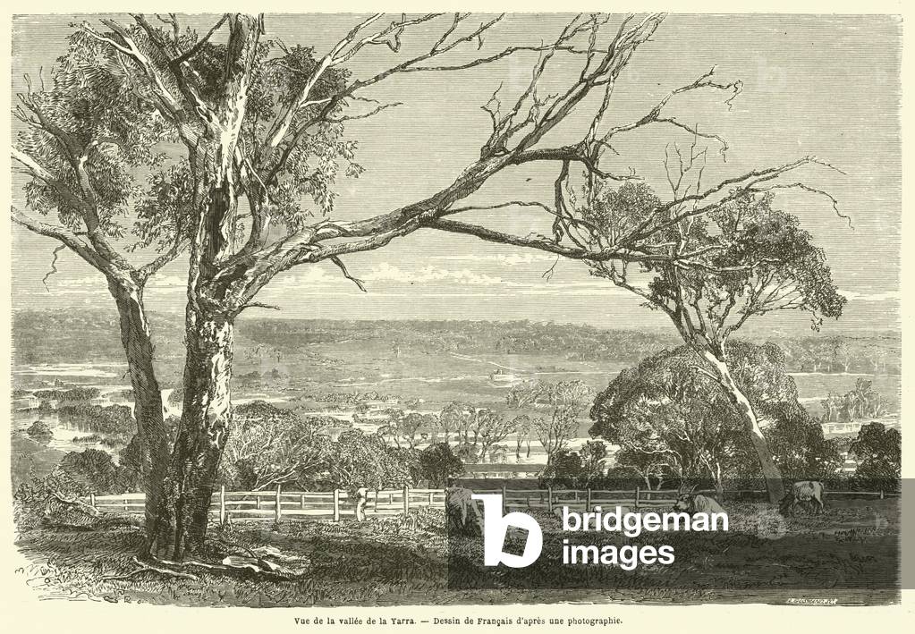 Vue de la vallee de la Yarra (engraving)
