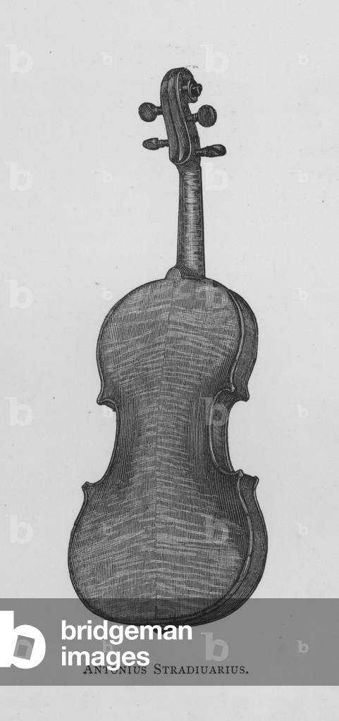 Antonius Stradiuarius (engraving)