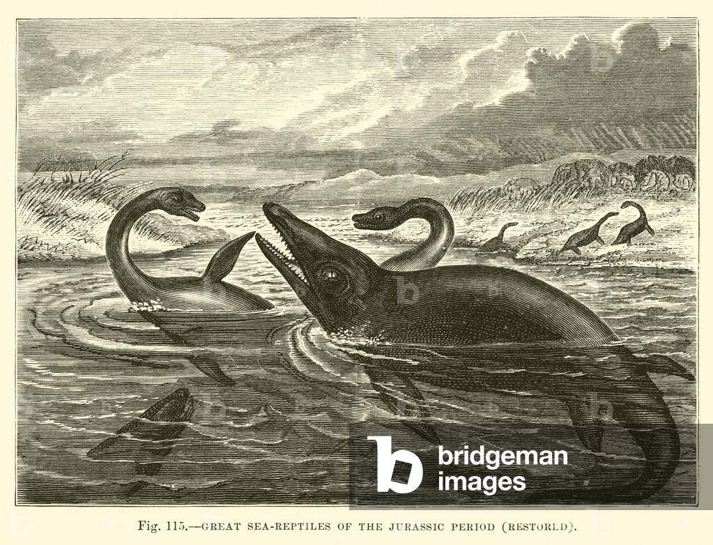 Great sea-reptiles of the Jurassic Period, restored (engraving)