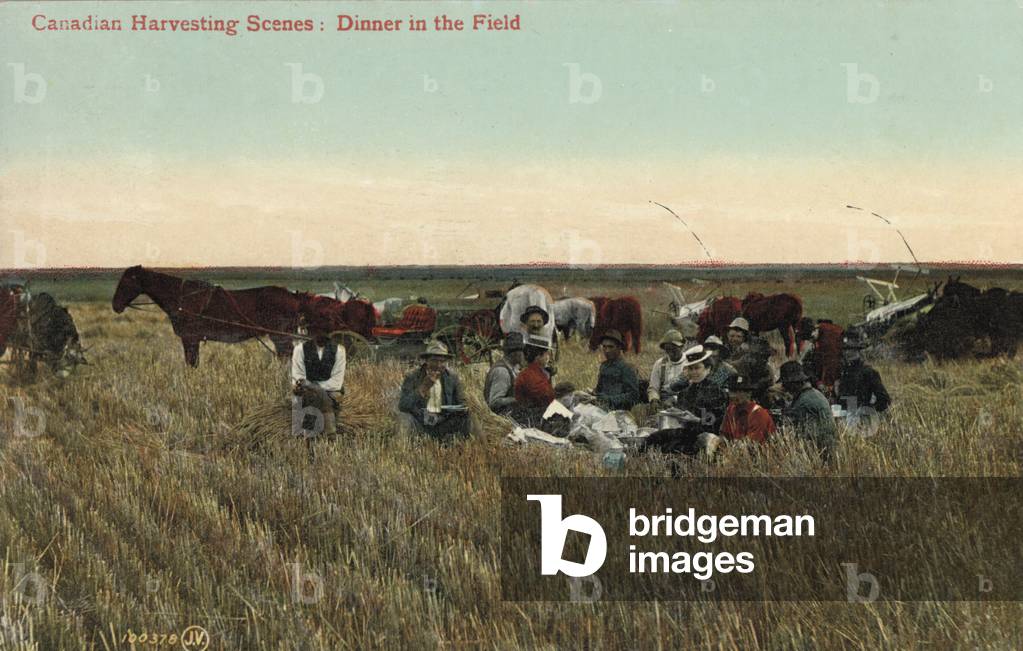 Farm workers eating dinner in the fields during the harvest in Canada (coloured photo)
