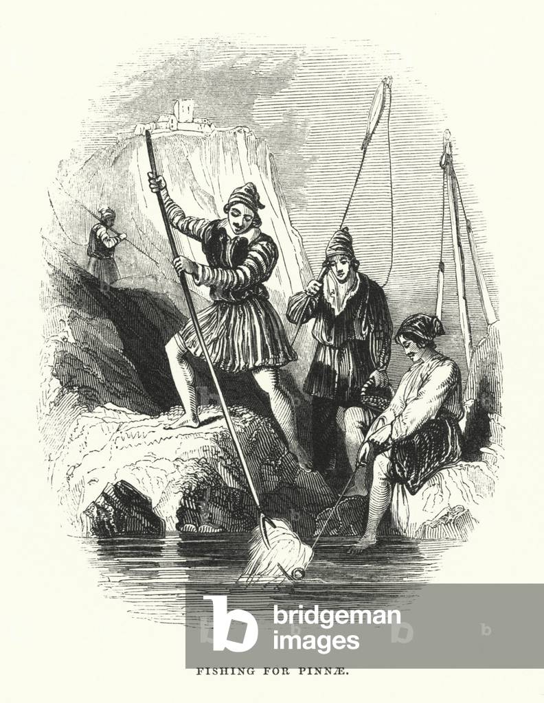 Fishing for Pinnae (engraving)