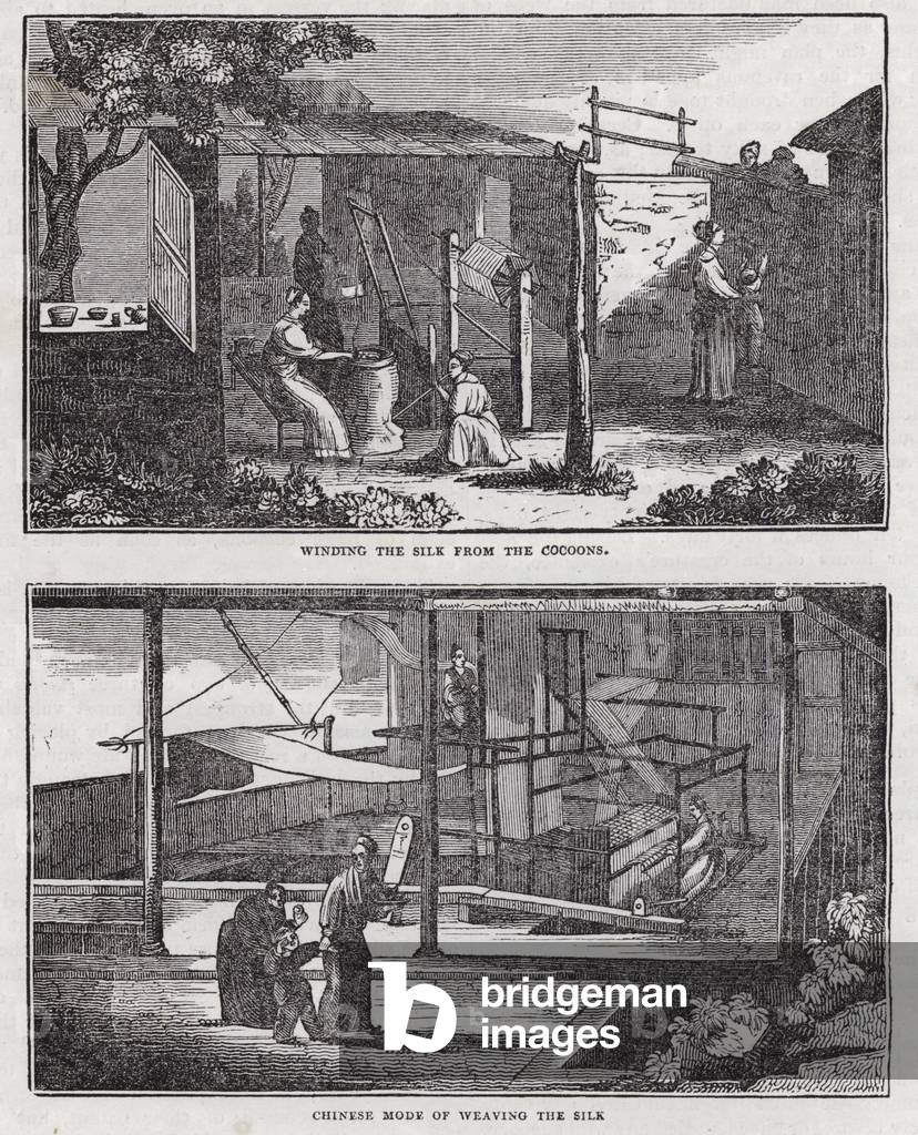 Cultivation of silk (engraving)