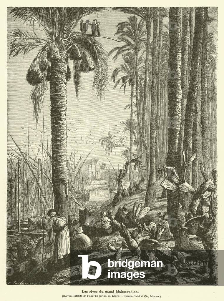 Les rives du canal Mahmoudieh (engraving)