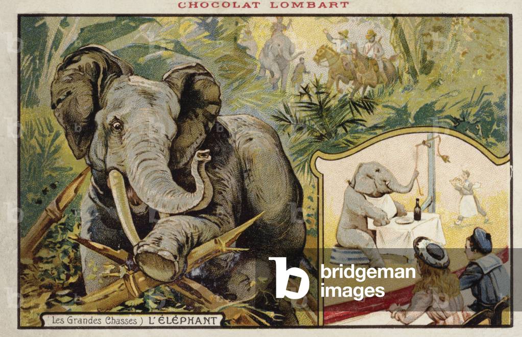 Elephant (chromolitho)