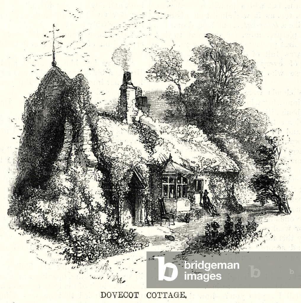 Dovecot Cottage (engraving)